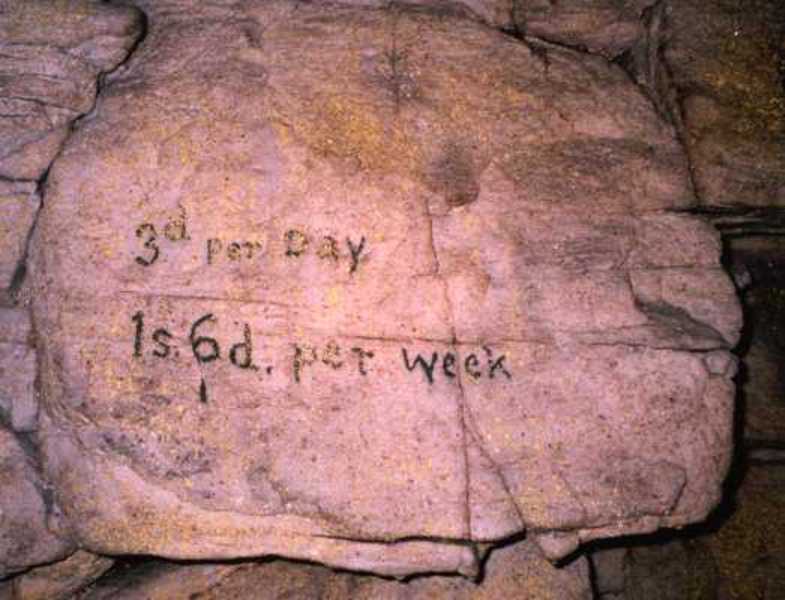 Name Taphos 3d per day[PSwart]